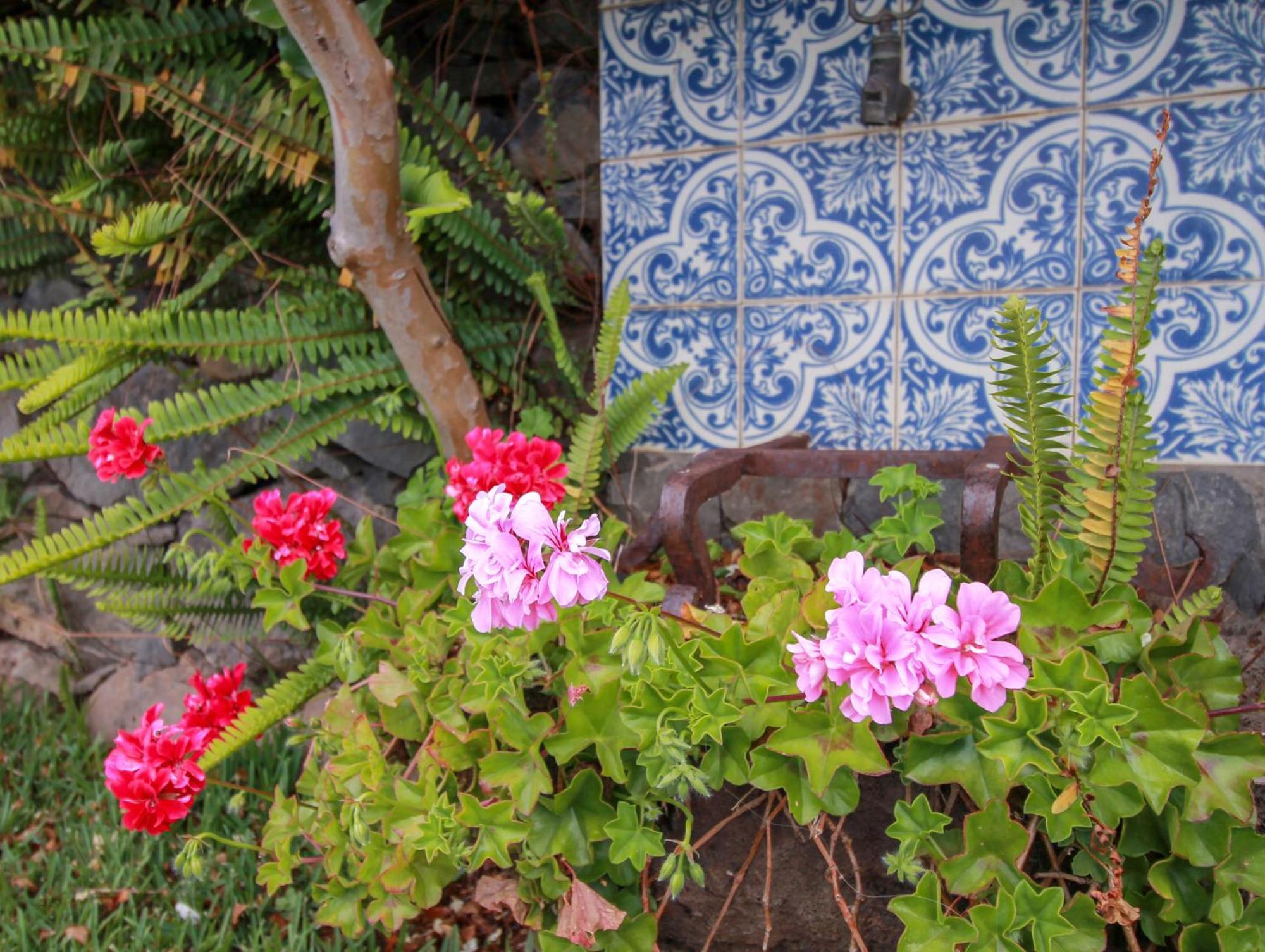 Calhau Grande Hotel Arco da Calheta  Luaran gambar